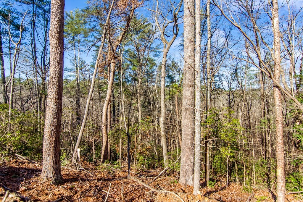 LT 10R Whispering Oaks Drive, Ellijay GA 30540 - Photo
