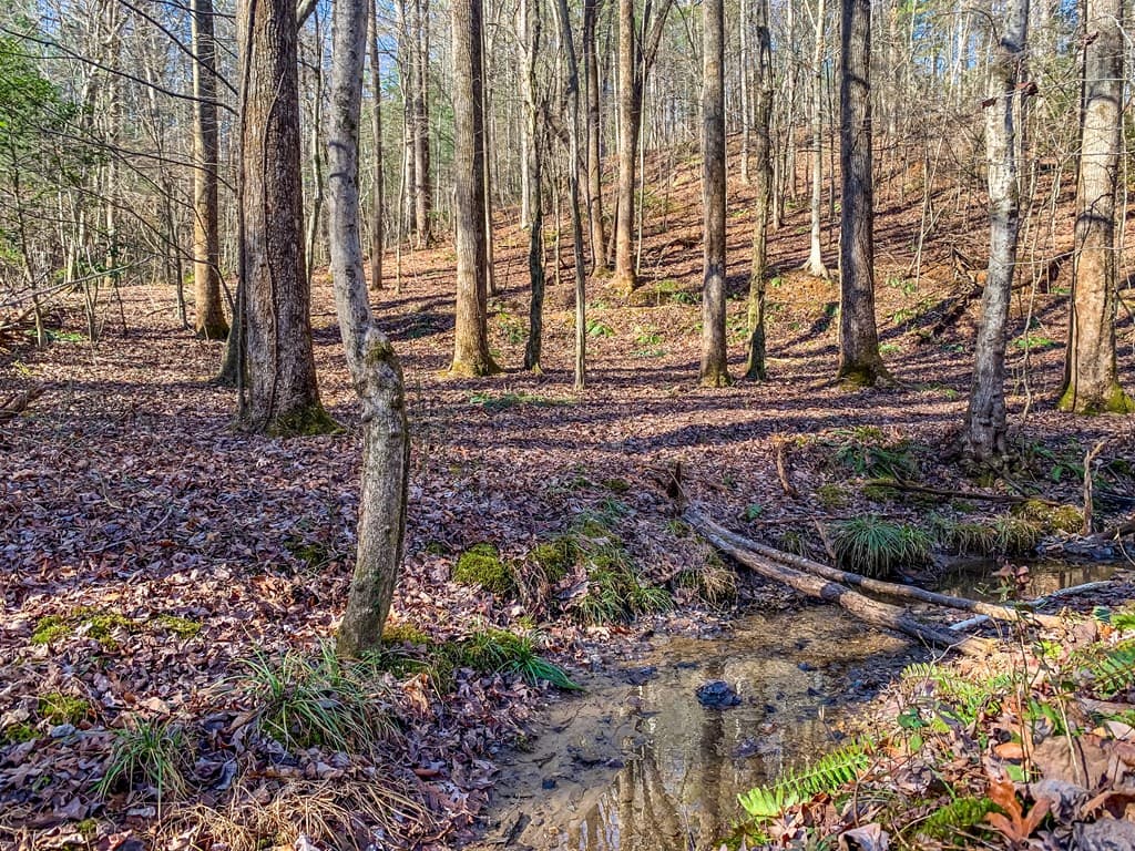 LT 10R Whispering Oaks Drive, Ellijay GA 30540 - Photo