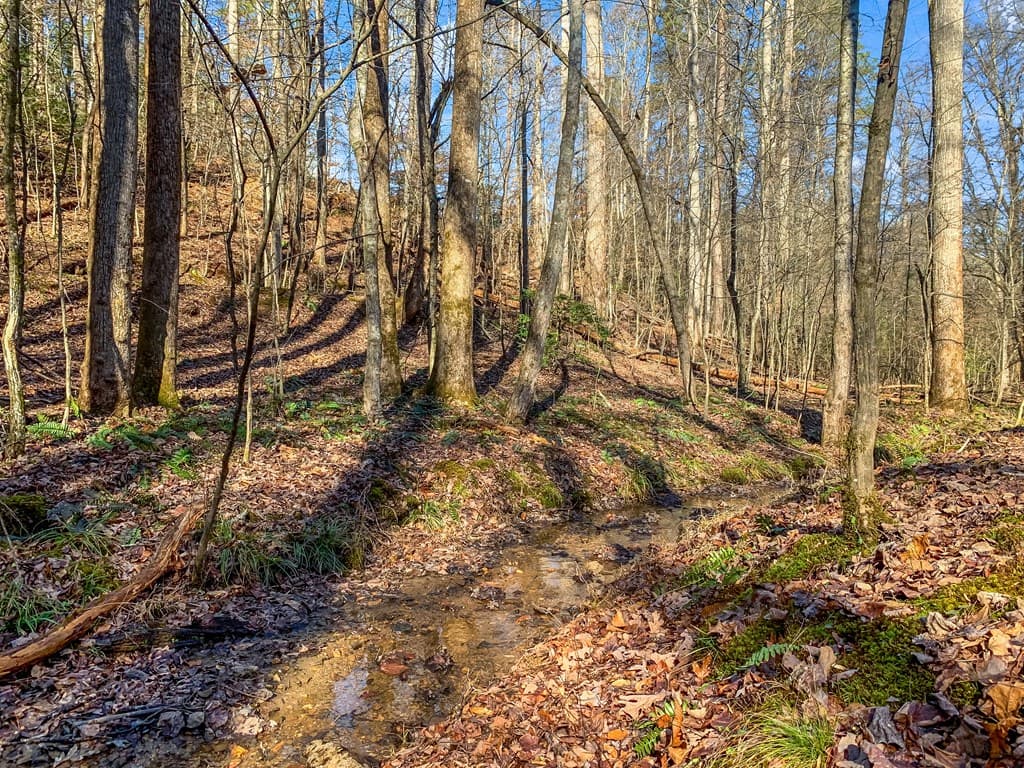 LT 10R Whispering Oaks Drive, Ellijay GA 30540 - Photo