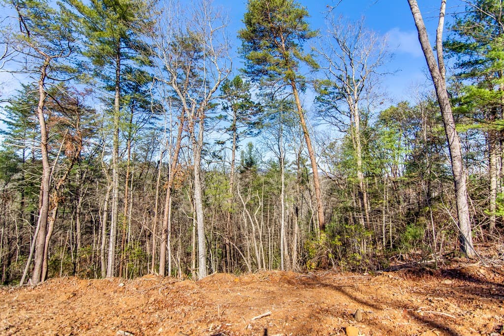 LT 10R Whispering Oaks Drive, Ellijay GA 30540 - Photo