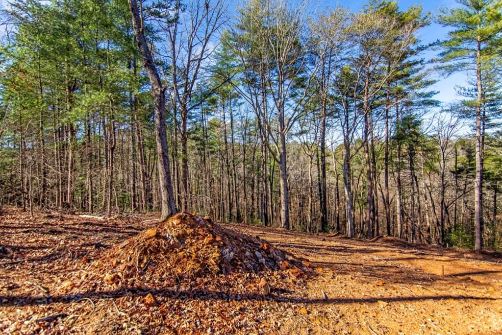 LT 11 Whispering Oaks Drive, Ellijay GA 30536 - Photo