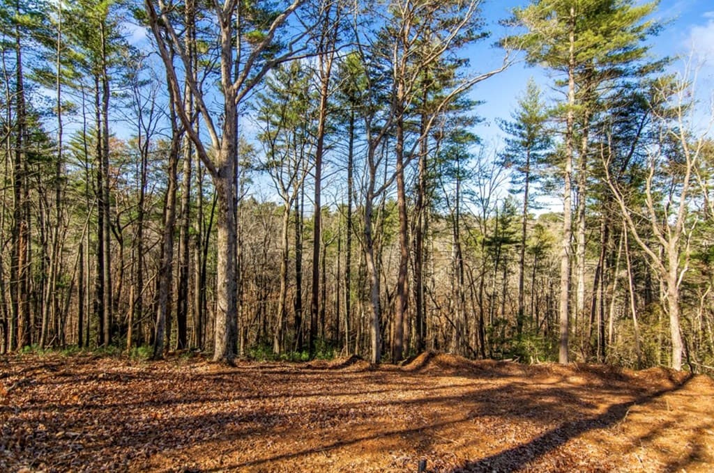 LT 11 Whispering Oaks Drive, Ellijay GA 30536 - Photo