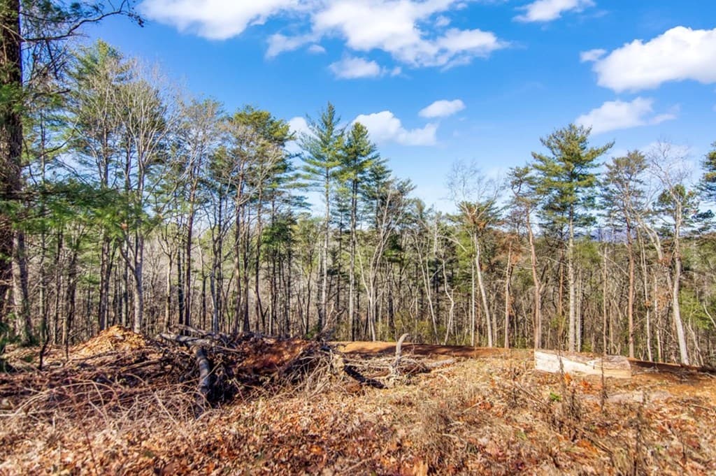 LT 11 Whispering Oaks Drive, Ellijay GA 30536 - Photo