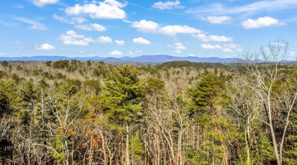 LT 11 Whispering Oaks Drive, Ellijay GA 30536 - Photo
