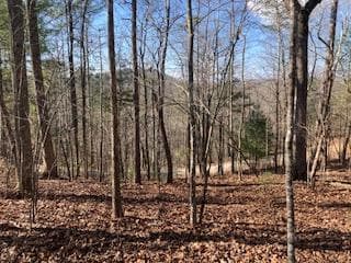 LT 1145 Monet Drive, Ellijay GA 30540 - Photo