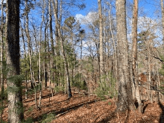 LT 1145 Monet Drive, Ellijay GA 30540 - Photo