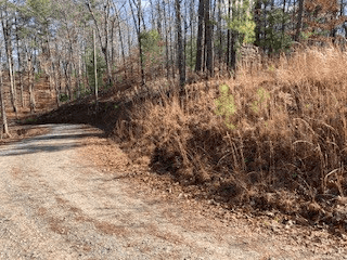 LT 1145 Monet Drive, Ellijay GA 30540 - Photo