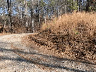 LT 1145 Monet Drive, Ellijay GA 30540 - Photo