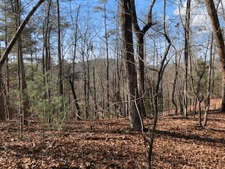 LT 1145 Monet Drive, Ellijay GA 30540 - Photo