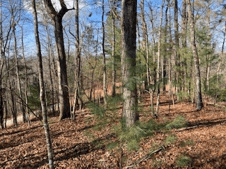 LT 1145 Monet Drive, Ellijay GA 30540 - Photo