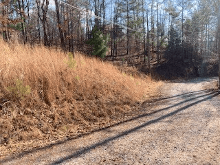 LT 1145 Monet Drive, Ellijay GA 30540 - Photo