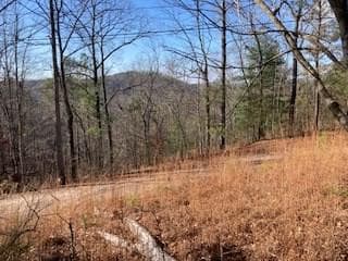 LT 1145 Monet Drive, Ellijay GA 30540 - Primary photo