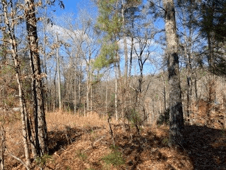 LT 1145 Monet Drive, Ellijay GA 30540 - Photo