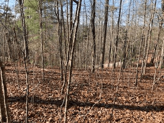 LT 1145 Monet Drive, Ellijay GA 30540 - Photo