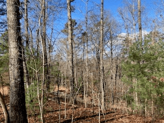 LT 1145 Monet Drive, Ellijay GA 30540 - Photo