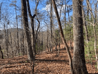 LT 1145 Monet Drive, Ellijay GA 30540 - Photo