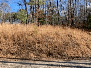 LT 1145 Monet Drive, Ellijay GA 30540 - Photo