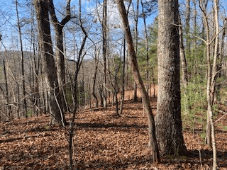 LT 1145 Monet Drive, Ellijay GA 30540 - Photo