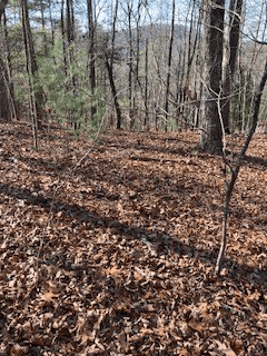 LT 1145 Monet Drive, Ellijay GA 30540 - Photo