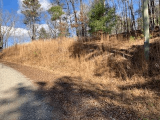 LT 1145 Monet Drive, Ellijay GA 30540 - Photo