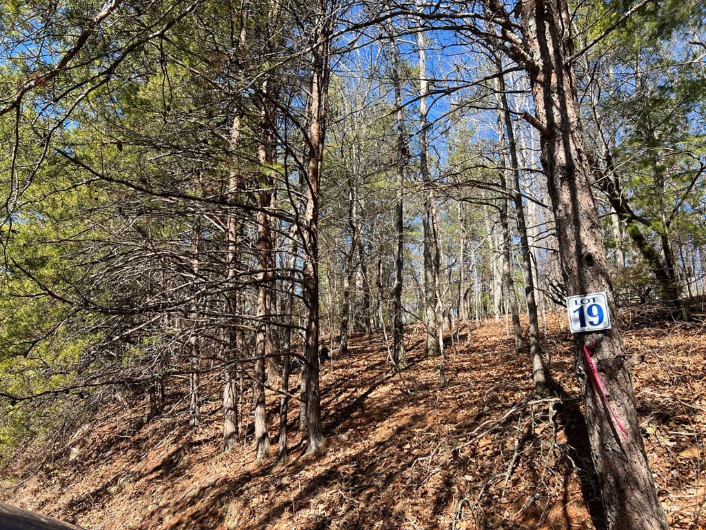 Lot 19 Mission Ridge, Hayesville NC 28904 - Photo