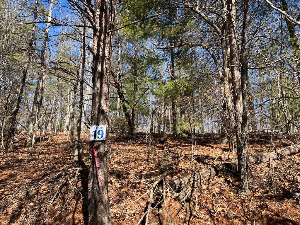 Lot 19 Mission Ridge, Hayesville NC 28904 - Photo