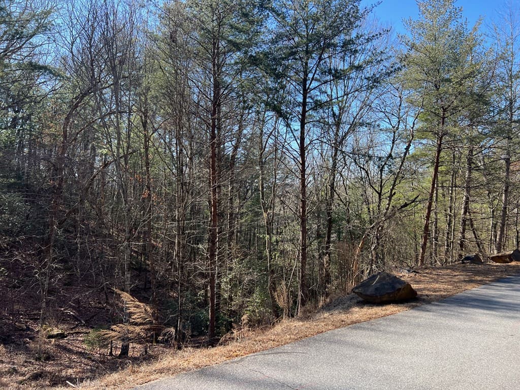 Lot 19 Mission Ridge, Hayesville NC 28904 - Photo