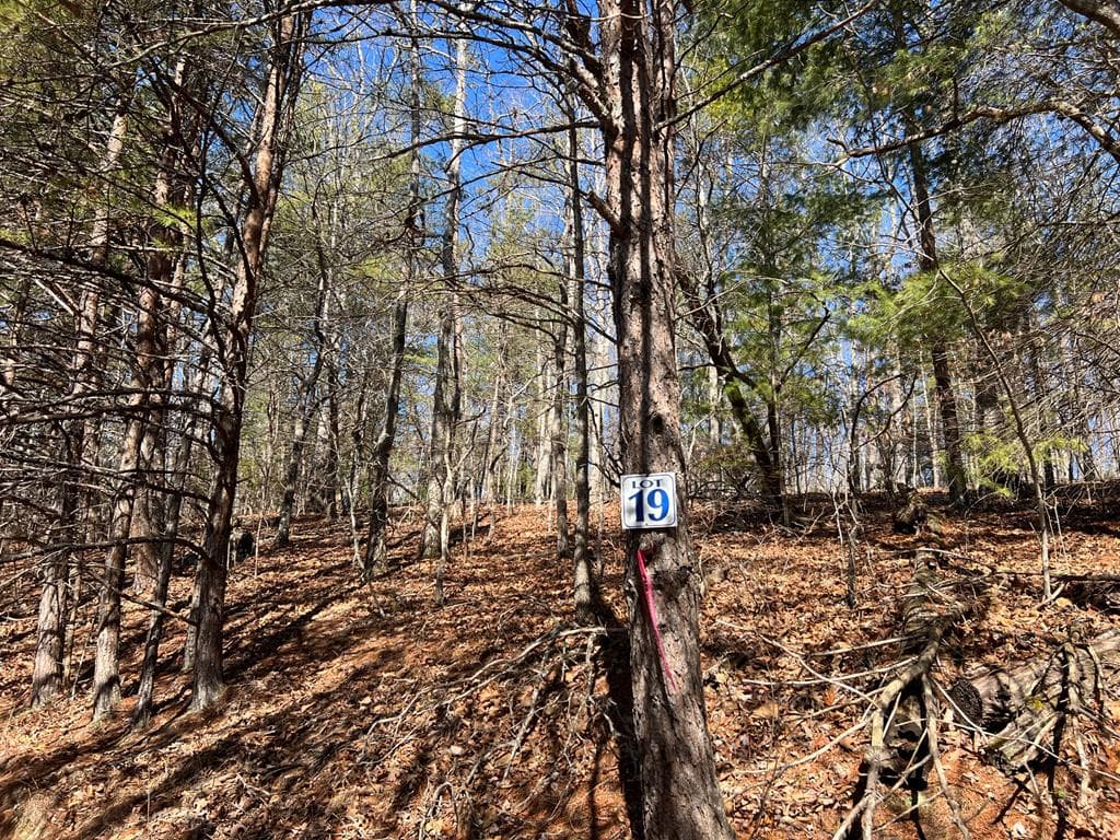 Lot 19 Mission Ridge, Hayesville NC 28904 - Primary photo