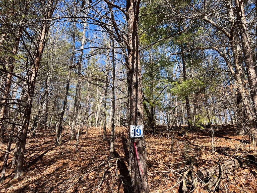 Lot 19 Mission Ridge, Hayesville NC 28904 - Photo