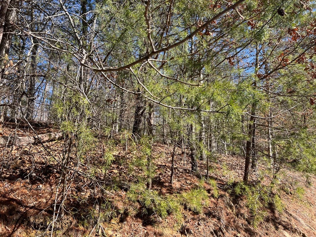 Lot 19 Mission Ridge, Hayesville NC 28904 - Photo