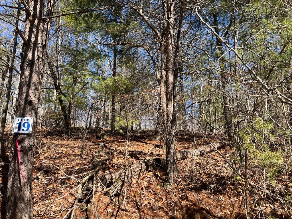 Lot 19 Mission Ridge, Hayesville NC 28904 - Photo