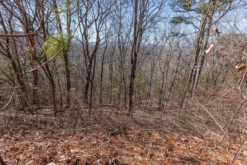 Lot 370 Thirteen Hundred, Blairsville GA 30512 - Photo