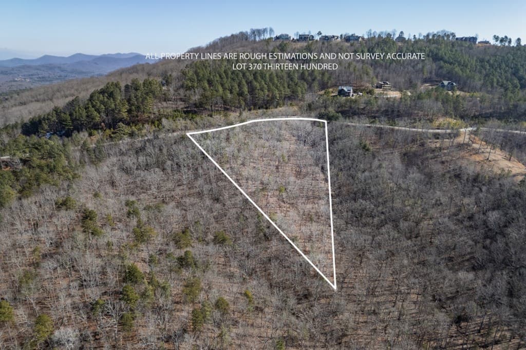 Lot 370 Thirteen Hundred, Blairsville GA 30512 - Photo