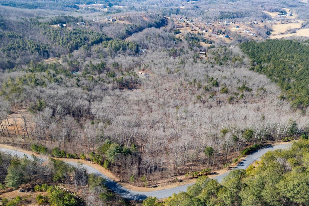 Lot 370 Thirteen Hundred, Blairsville GA 30512 - Photo