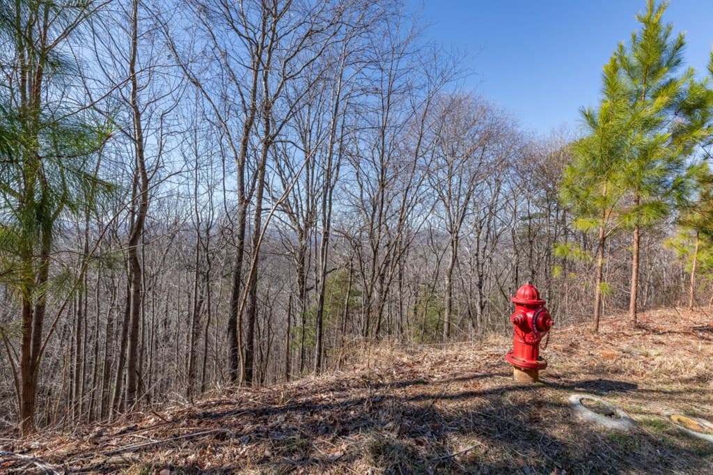 Lot 370 Thirteen Hundred, Blairsville GA 30512 - Photo