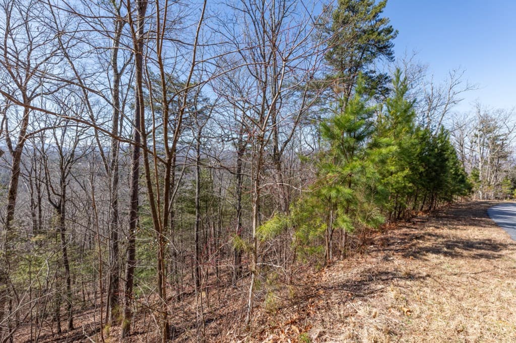 Lot 370 Thirteen Hundred, Blairsville GA 30512 - Photo
