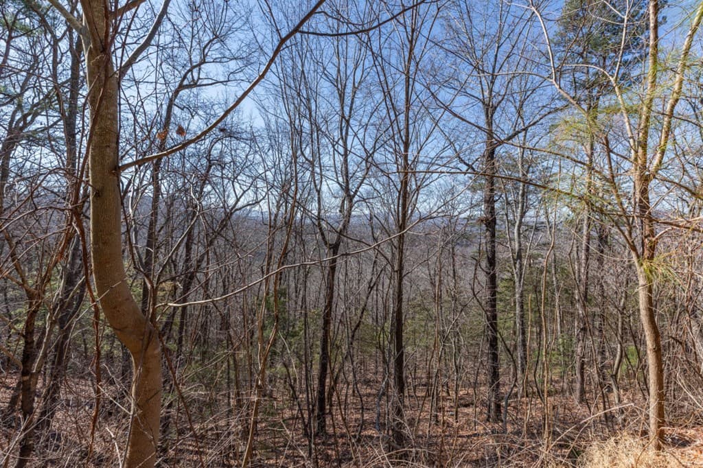 Lot 370 Thirteen Hundred, Blairsville GA 30512 - Photo