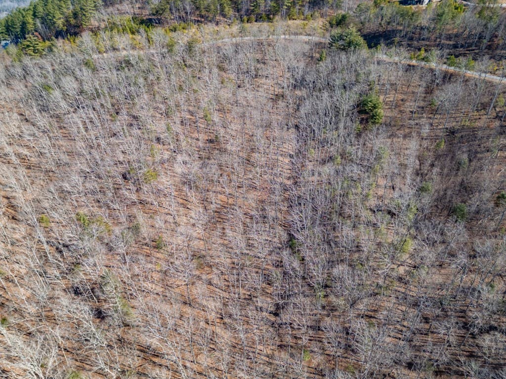 Lot 370 Thirteen Hundred, Blairsville GA 30512 - Photo