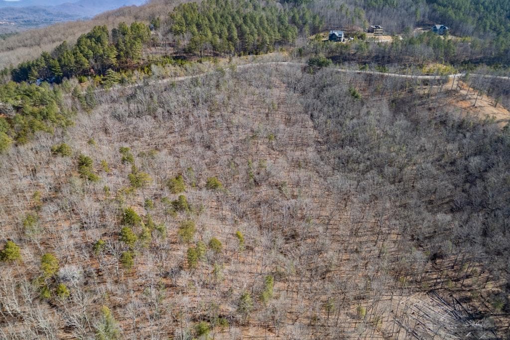 Lot 370 Thirteen Hundred, Blairsville GA 30512 - Primary photo