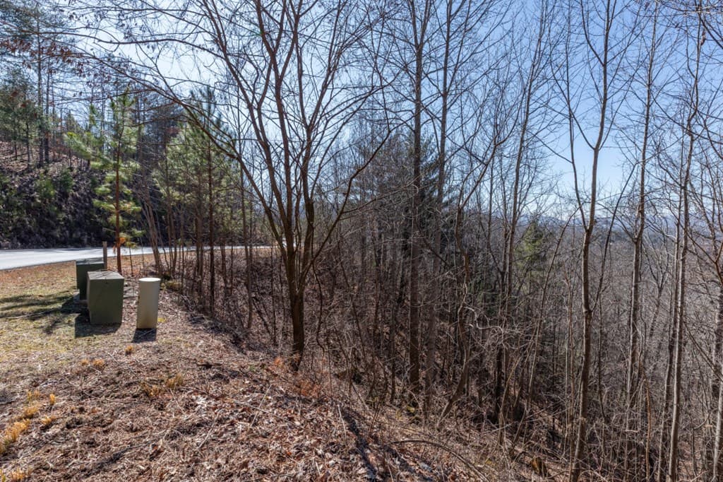 Lot 370 Thirteen Hundred, Blairsville GA 30512 - Photo