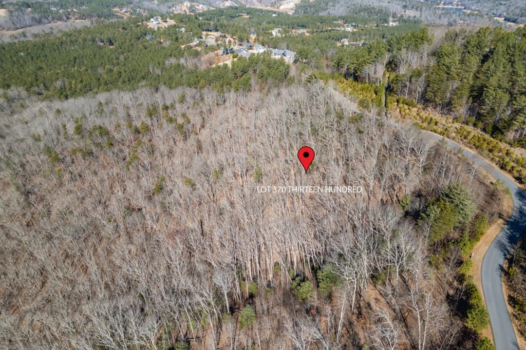Lot 370 Thirteen Hundred, Blairsville GA 30512 - Photo