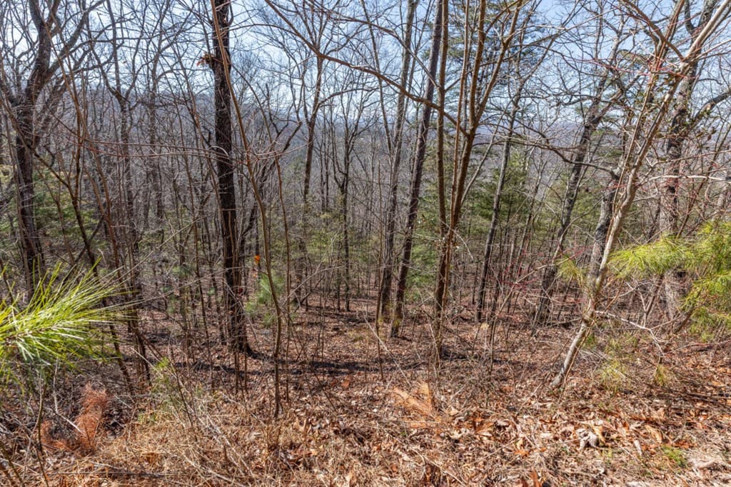 Lot 370 Thirteen Hundred, Blairsville GA 30512 - Photo