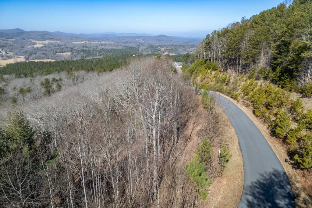 Lot 370 Thirteen Hundred, Blairsville GA 30512 - Photo