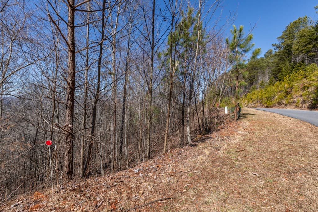 Lot 370 Thirteen Hundred, Blairsville GA 30512 - Photo