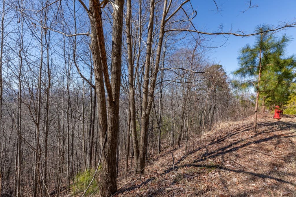 Lot 370 Thirteen Hundred, Blairsville GA 30512 - Photo
