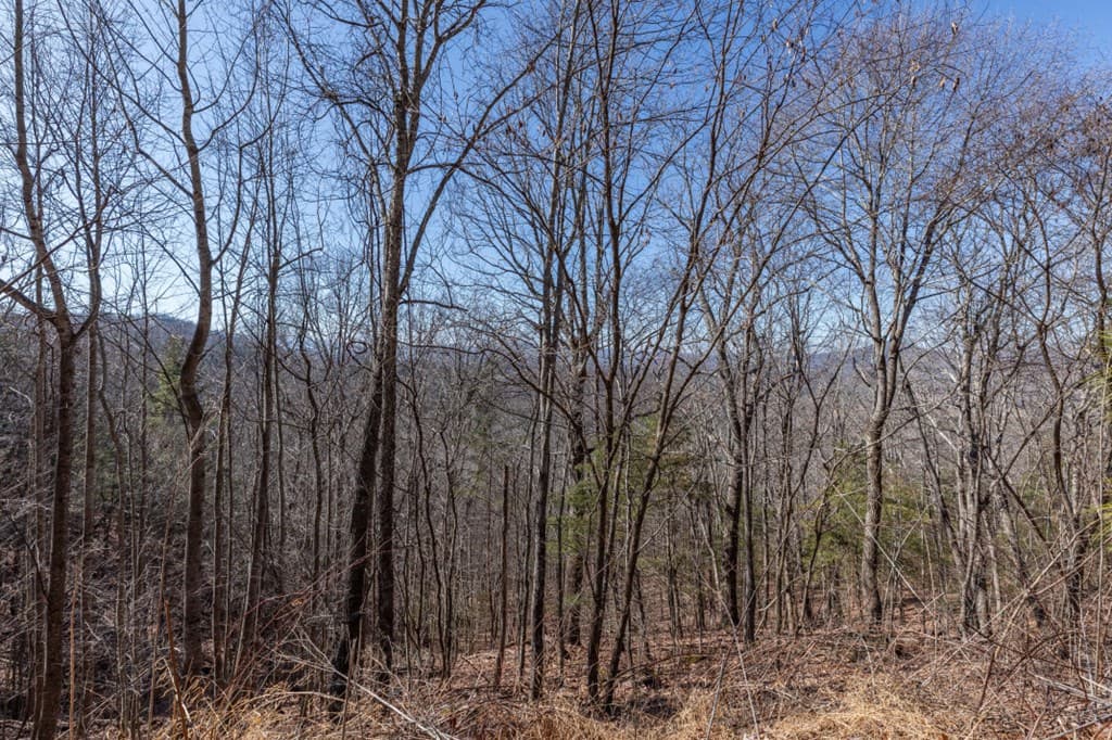 Lot 370 Thirteen Hundred, Blairsville GA 30512 - Photo