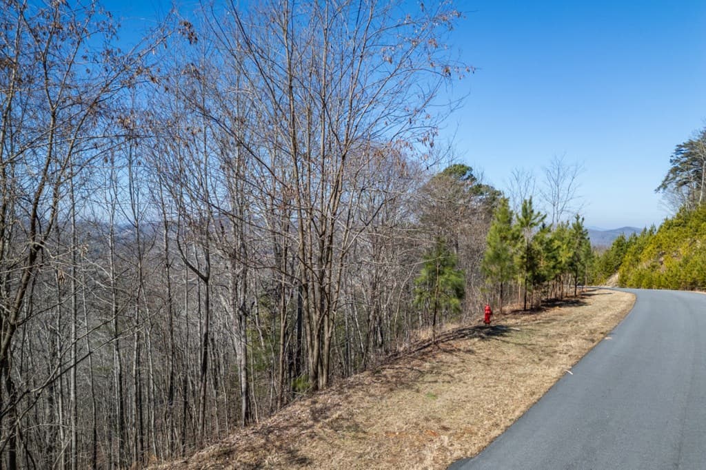 Lot 370 Thirteen Hundred, Blairsville GA 30512 - Photo