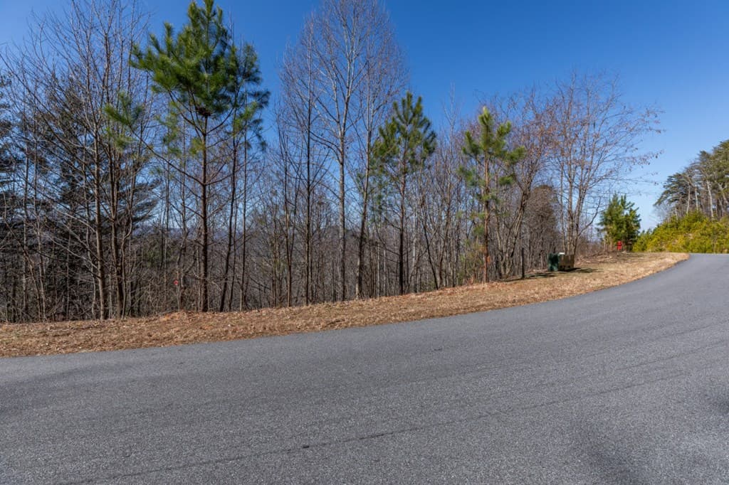 Lot 370 Thirteen Hundred, Blairsville GA 30512 - Photo