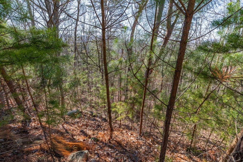 Lot 370 Thirteen Hundred, Blairsville GA 30512 - Photo
