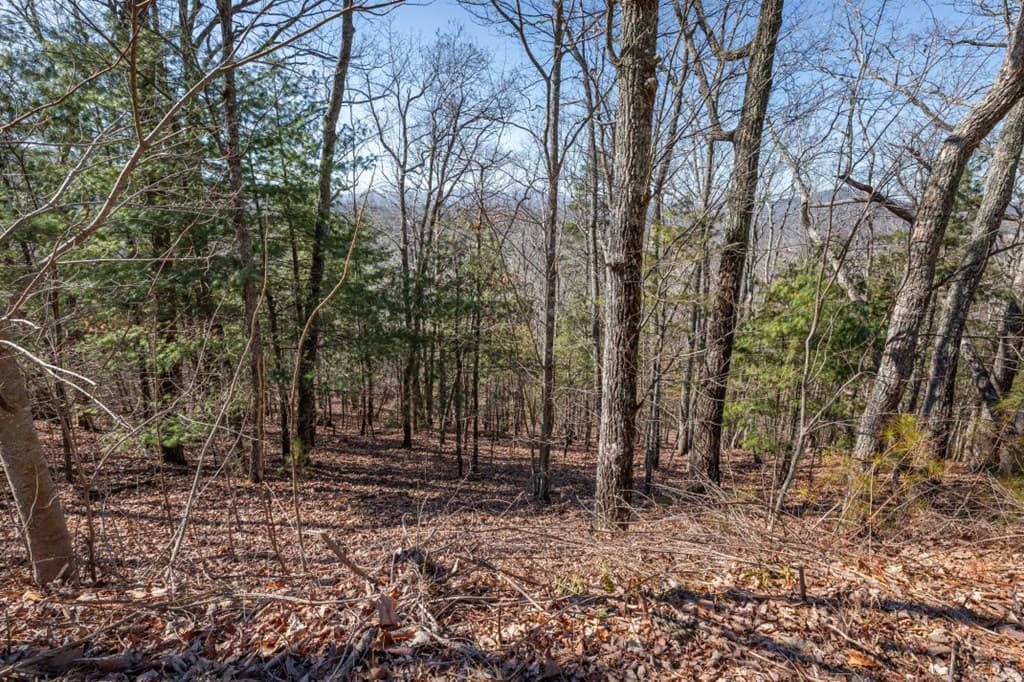 Lot 370 Thirteen Hundred, Blairsville GA 30512 - Photo